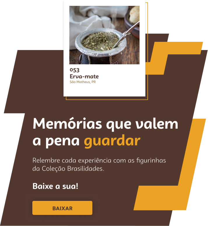 Como a Erva-Mate Melhora Sua Clareza Mental e Memória