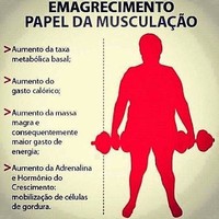 benefícios da musculação para emagrecer