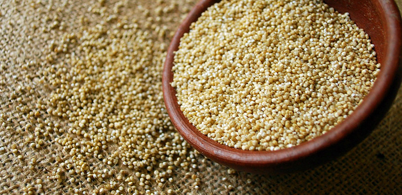 benefícios da quinoa para quem treina