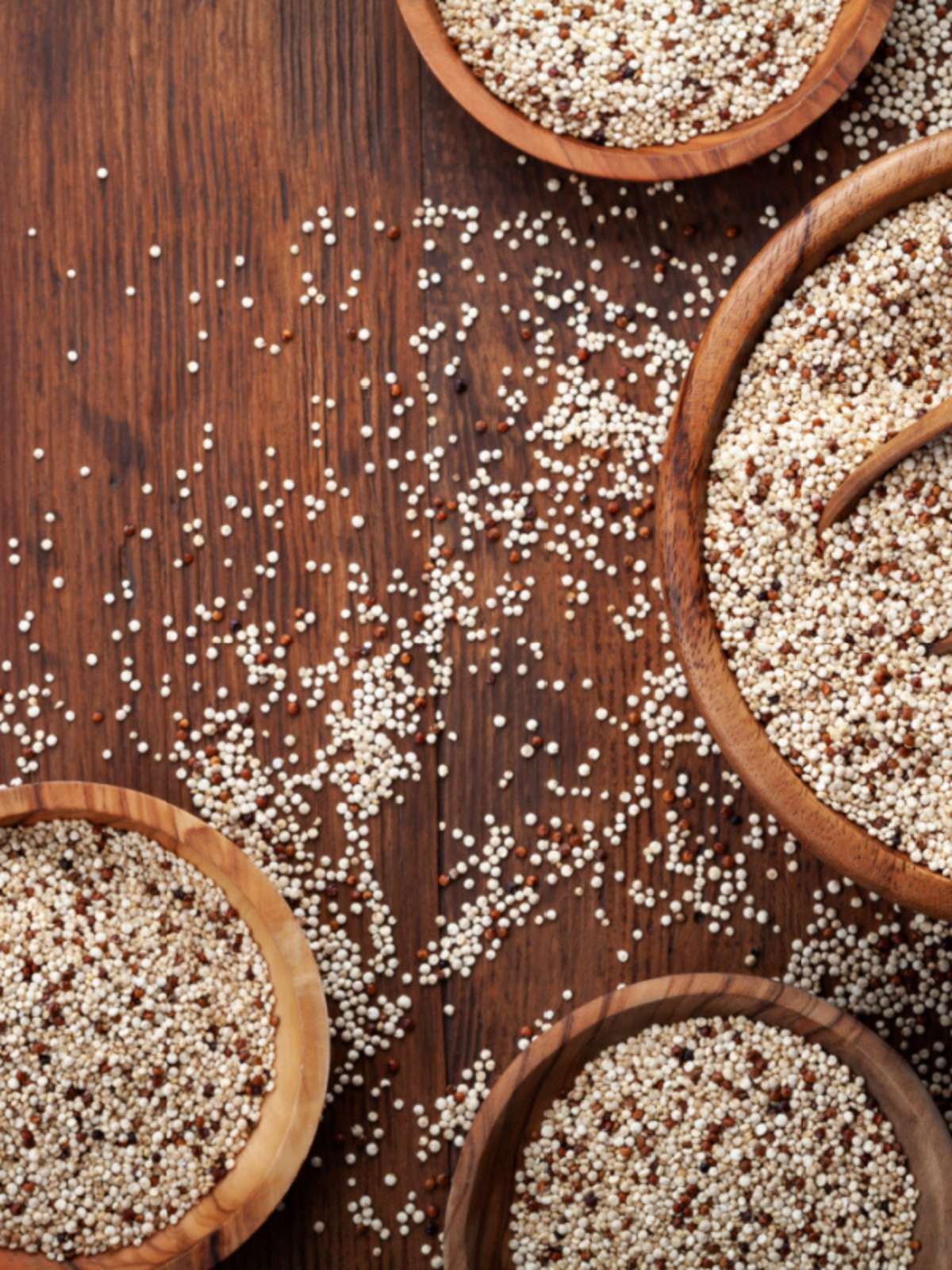 Guia Completo de Proteínas Vegetais para Atletas