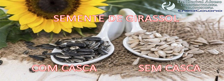 Óleo de girassol vs. semente de girassol: qual o melhor?