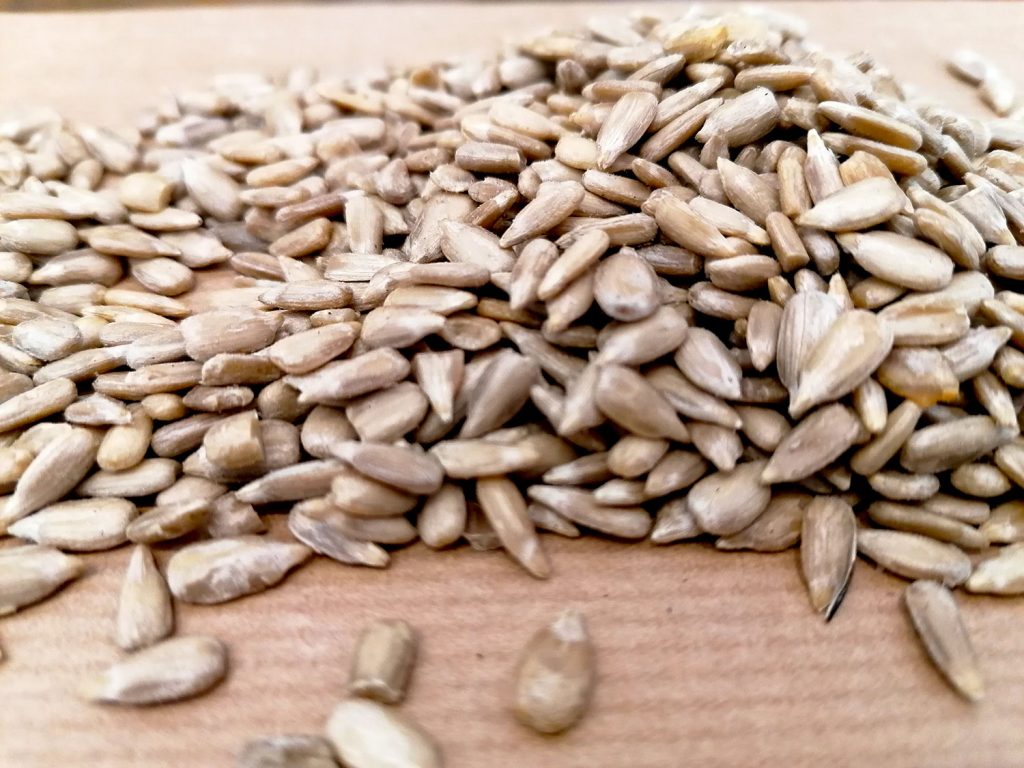 Receitas fáceis com semente de girassol