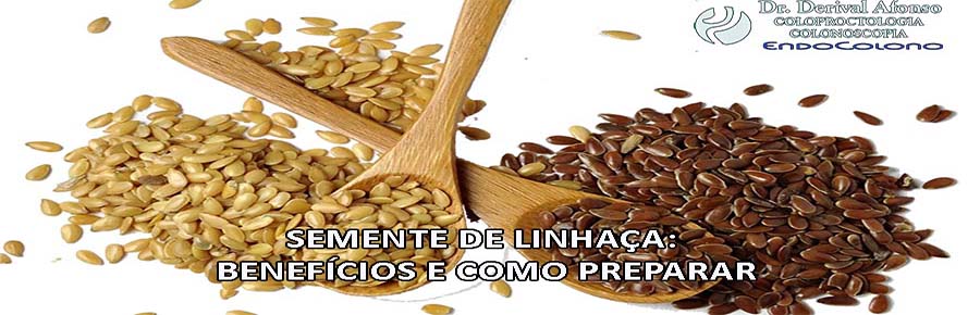 benefícios da semente de linhaça para o intestino