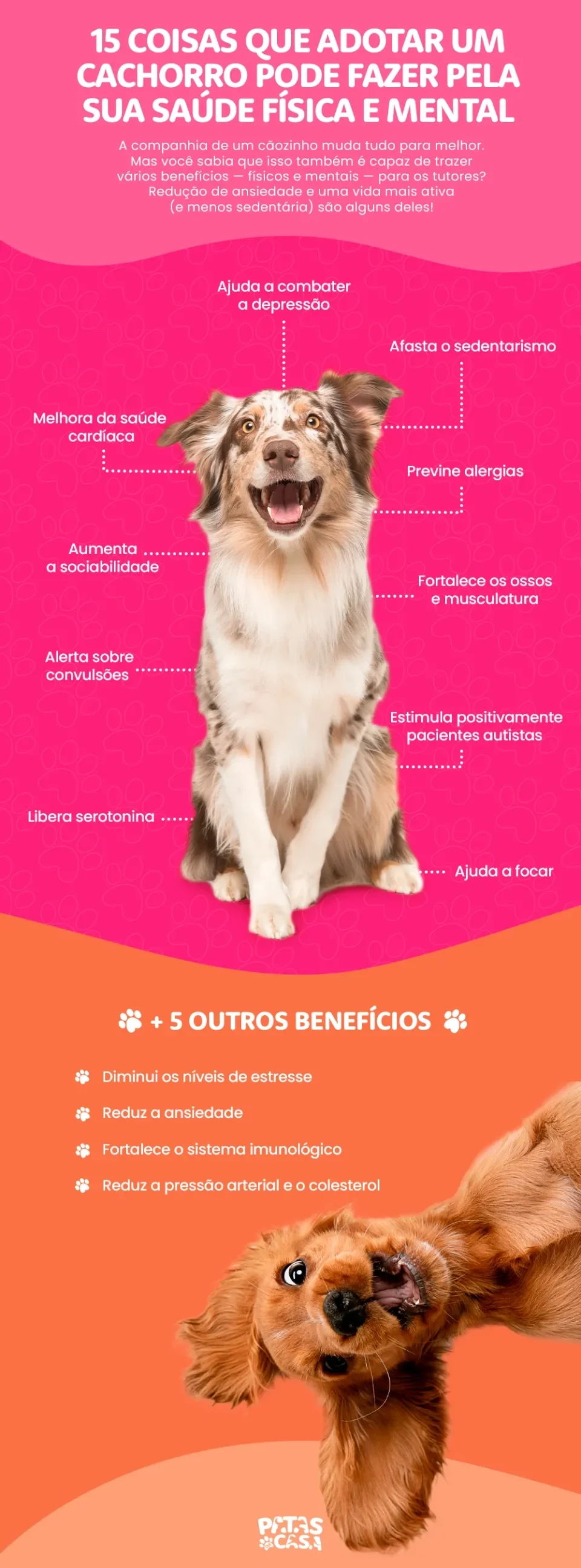 benefícios de adotar um animal de estimação
