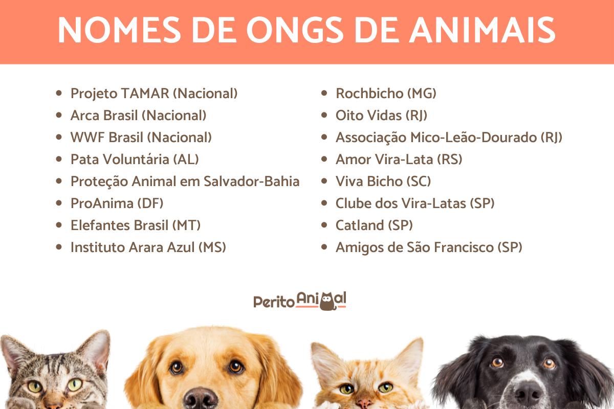 benefícios de adotar um animal de estimação