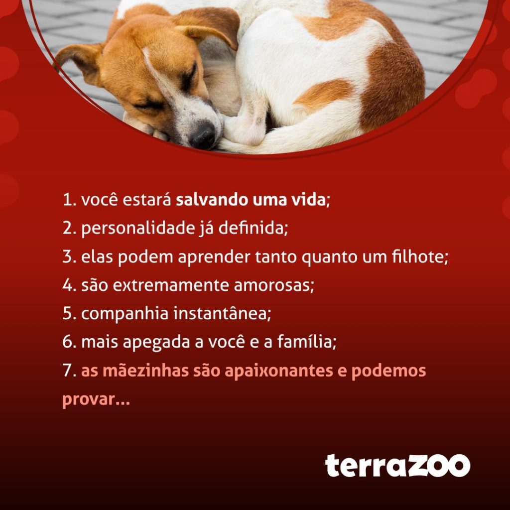 5 ideias de títulos:
1. Adote um Amigo: Os Inúmeros Benefícios de Ter um Pet em Casa
2. Adoção de Animais: Um Ato de Amor com Retorno Garantido para Sua Saúde
3. Mais que Companhia: Como um Pet Transforma sua Vida e Família
4. Adoção vs. Compra: Por Que Escolher Salvar uma Vida é a Melhor Opção
5. O Poder Terapêutico dos Animais: Benefícios para a Mente e o Corpo