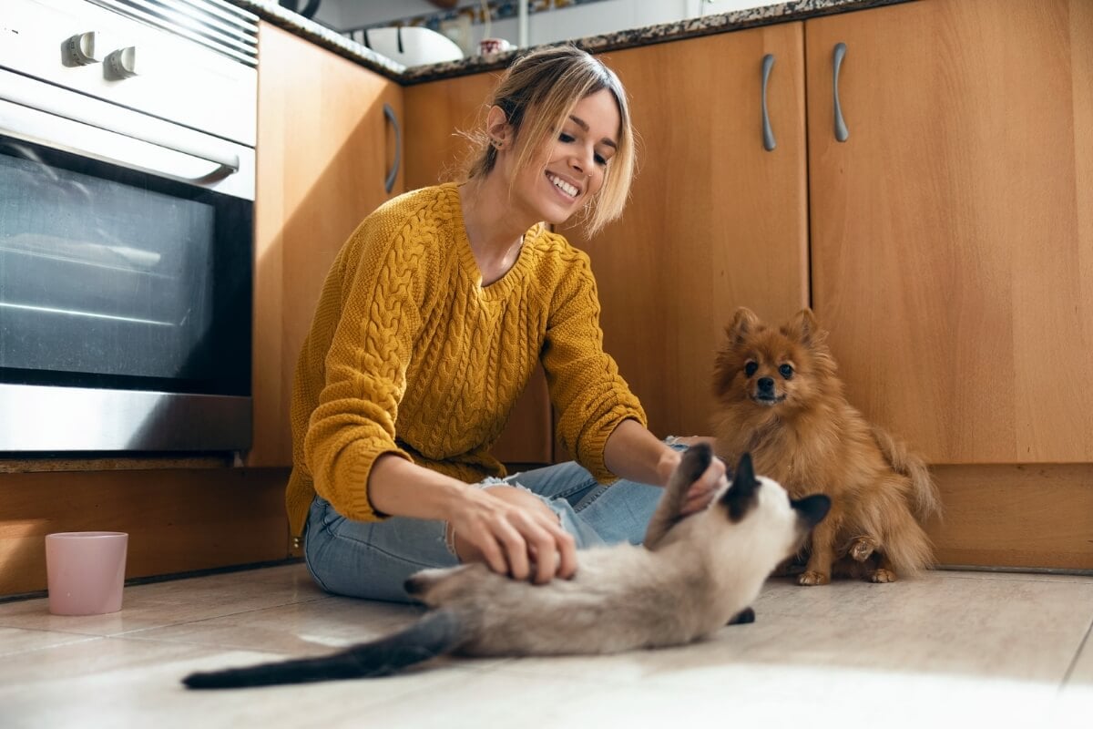 5 ideias de títulos:
1. Adote um Amigo: Os Inúmeros Benefícios de Ter um Pet em Casa
2. Adoção de Animais: Um Ato de Amor com Retorno Garantido para Sua Saúde
3. Mais que Companhia: Como um Pet Transforma sua Vida e Família
4. Adoção vs. Compra: Por Que Escolher Salvar uma Vida é a Melhor Opção
5. O Poder Terapêutico dos Animais: Benefícios para a Mente e o Corpo