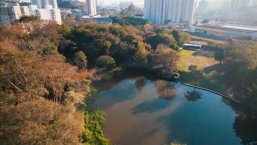 benefícios de morar perto da natureza