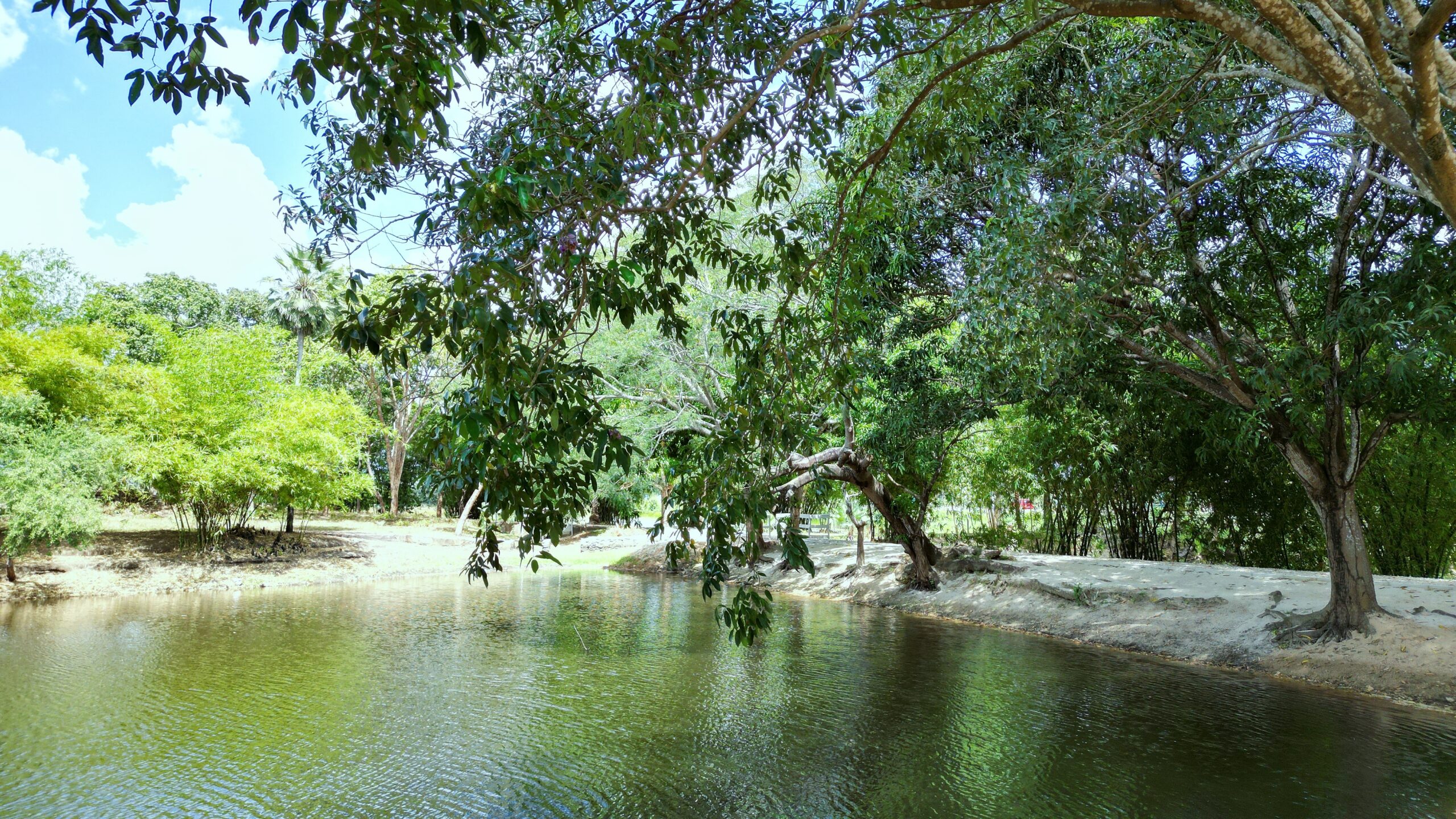 benefícios de morar perto da natureza