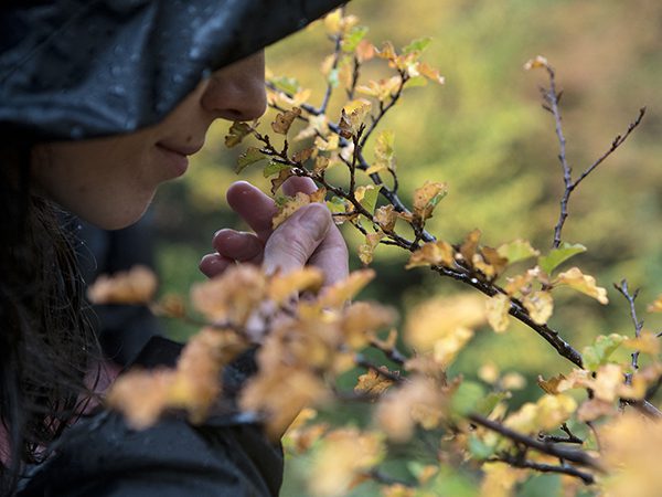 benefícios de passar tempo na natureza