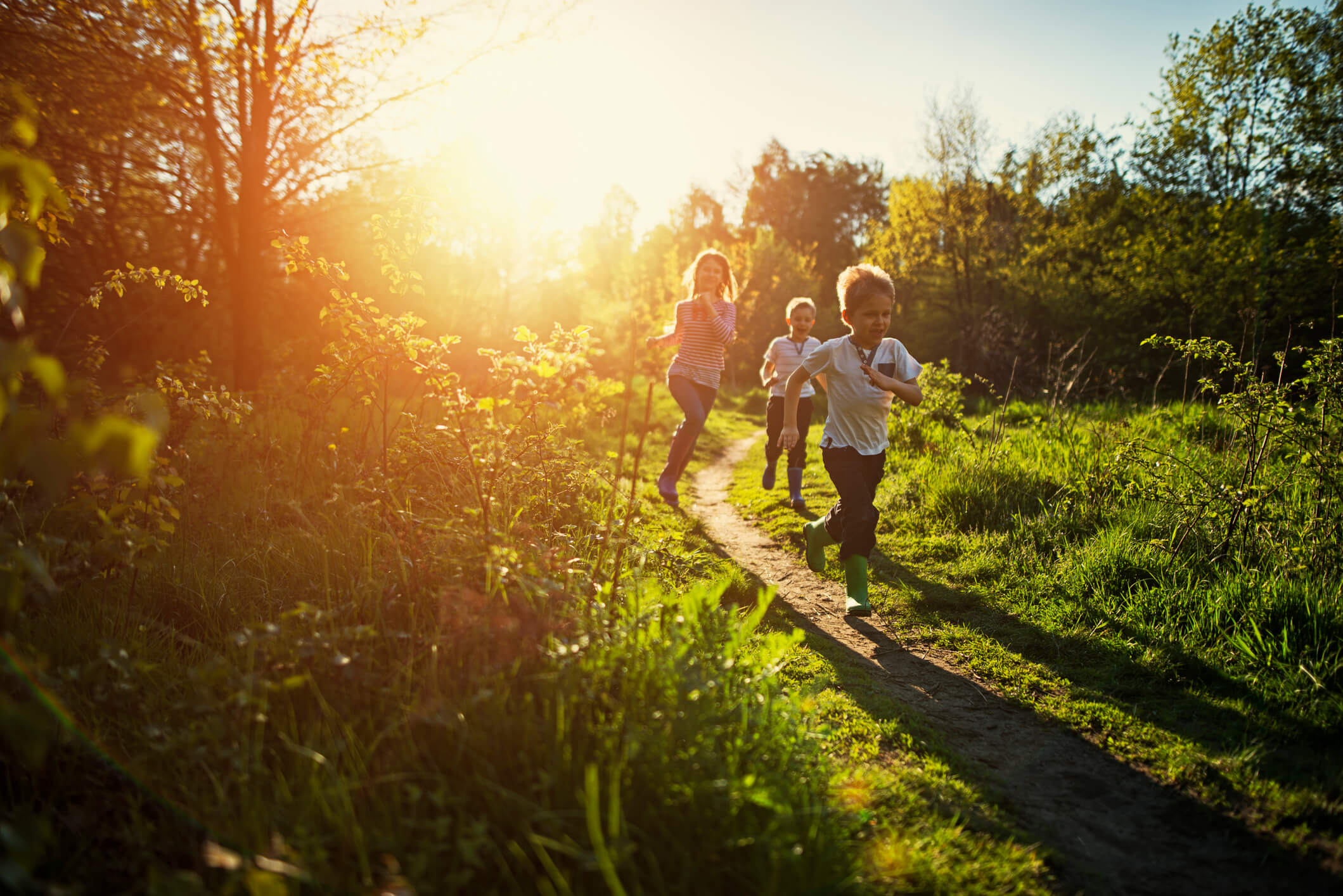 Guia Completo: 120 Minutos Semanais na Natureza Transformam Sua Saúde; Natureza como Remédio: Benefícios Comprovados para Mente e Corpo; Desvende os Segredos da Natureza: Como o Verde Combate o Estresse e Melhora o Humor; Além do Relaxamento: Como a Natureza Fortalece Sua Imunidade e Otimiza o Sono; A Ciência por Trás do Bem-Estar Natural: O Impacto da Natureza na Cognição e Criatividade