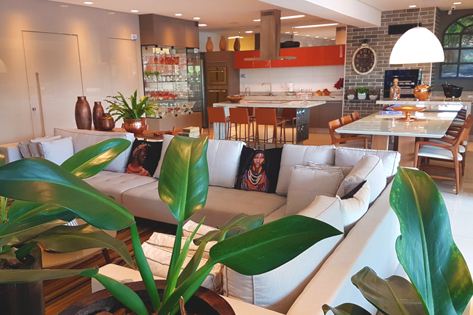 Decoração com plantas: dicas para todos os cômodos