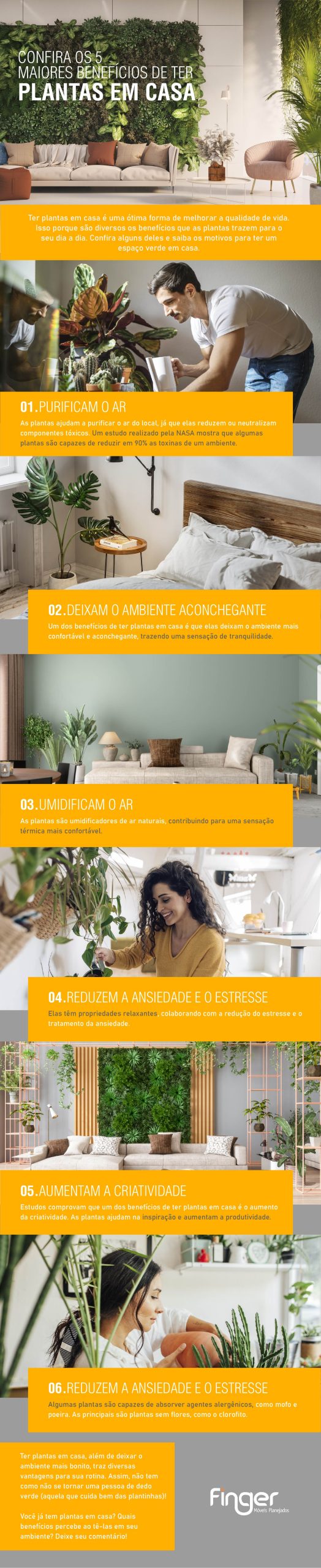 Decoração com plantas: dicas para todos os cômodos
