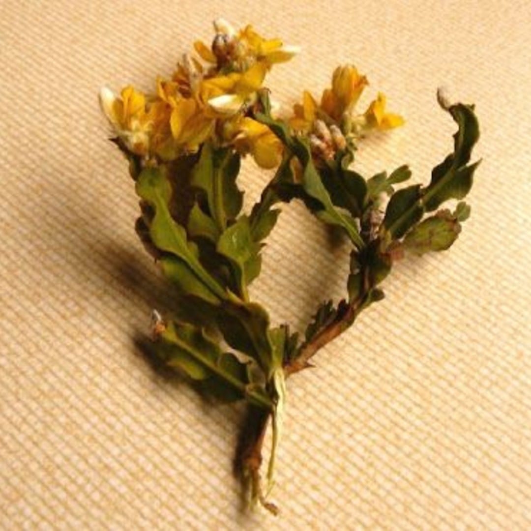 Dieta e Ervas: O Papel da Alimentação na Saúde Hepática