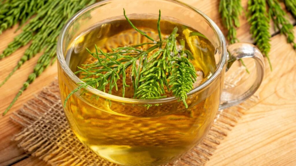 Guia Completo: Como Usar Chás para Desinchar e Combater a Retenção