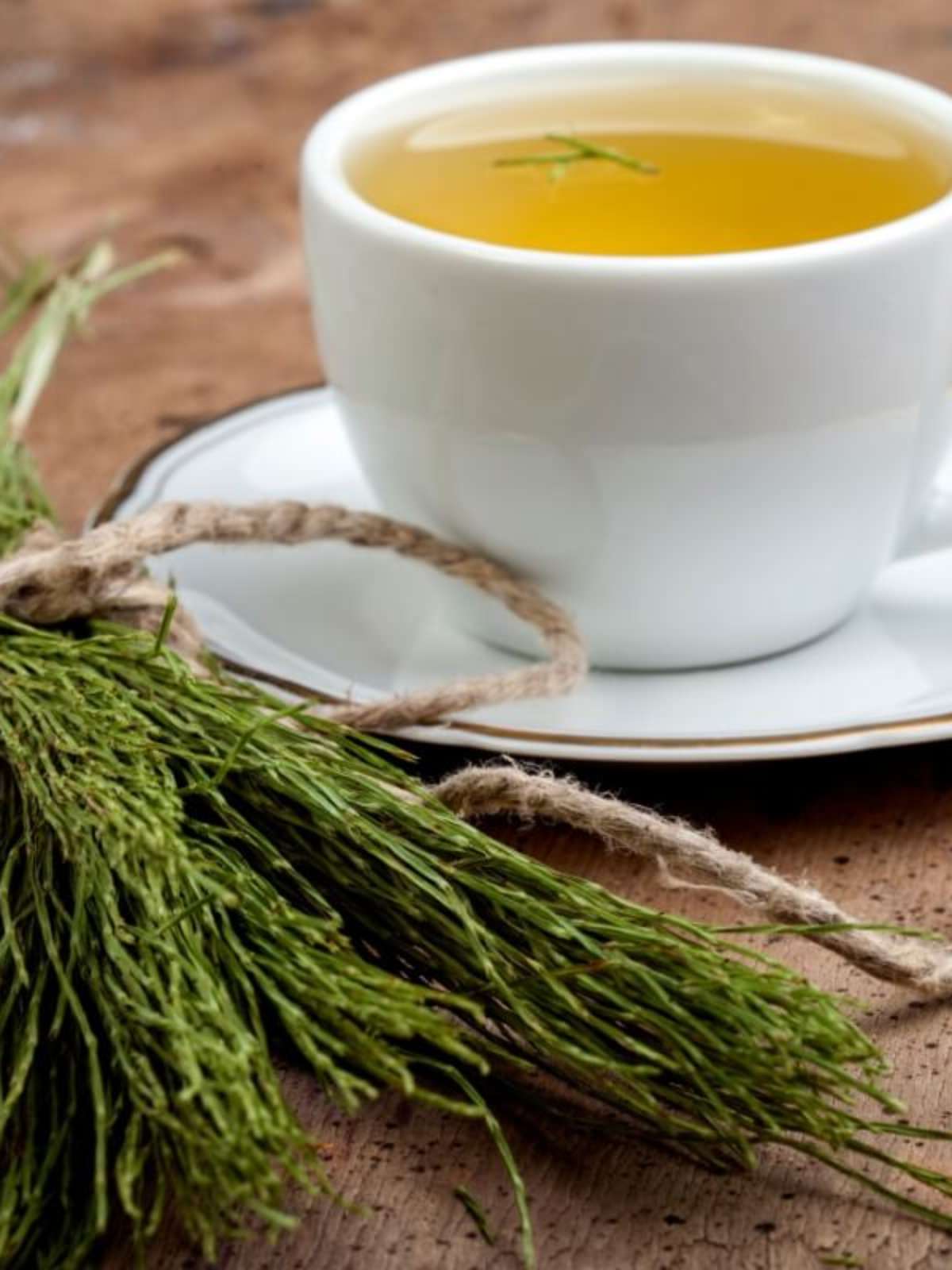 Chá de Cavalinha: Mitos e Verdades sobre Emagrecimento e Saúde