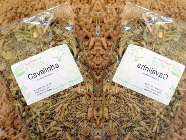 Plantas Medicinais: Benefícios e Cuidados Essenciais para o Uso Seguro