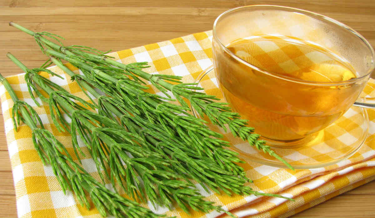 Outros Chás Diuréticos Naturais para Intercalar com Cavalinha