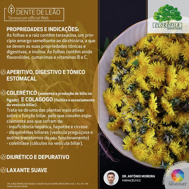 benefícios do chá de dente de leão para rins