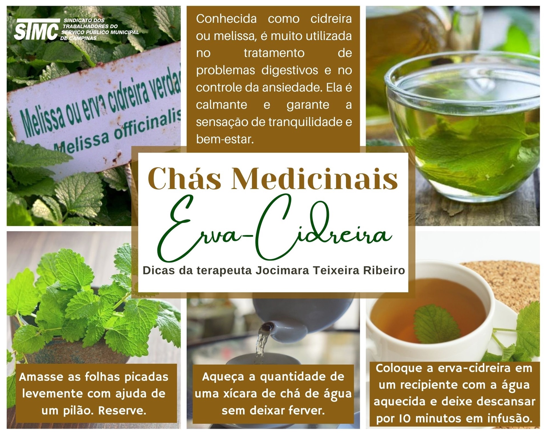 5 chás para combater a ansiedade