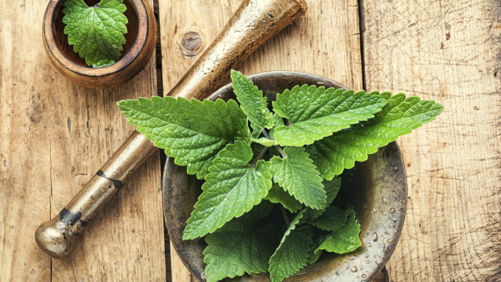 Cuidados essenciais ao consumir chás medicinais