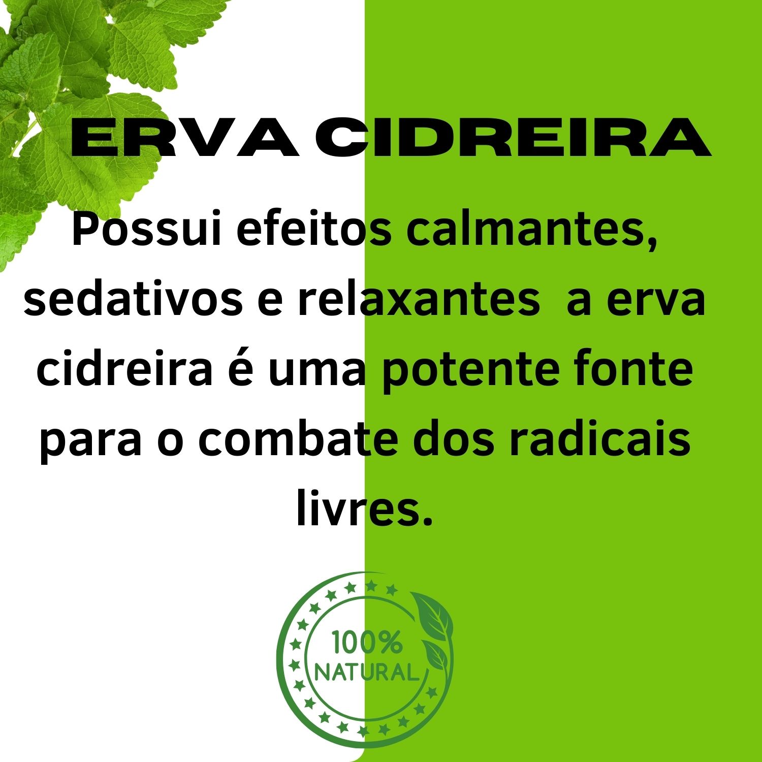 benefícios do chá de erva cidreira para ansiedade