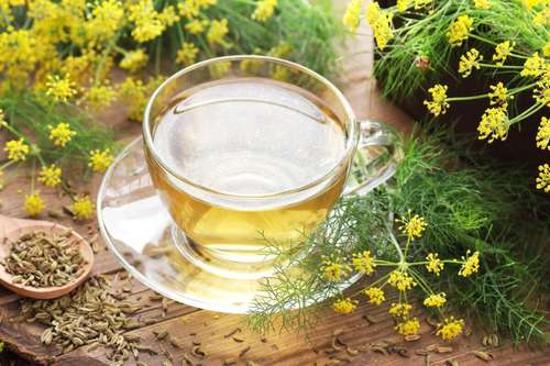 benefícios do chá de erva doce para gases