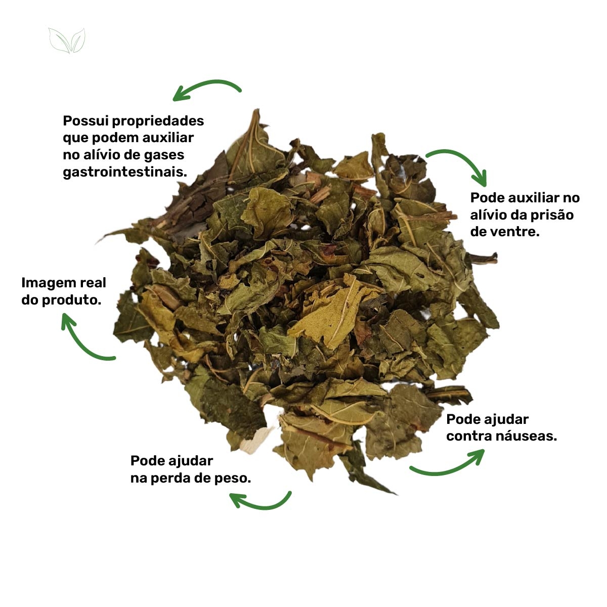 Além dos Gases: Outros Benefícios Surpreendentes do Chá de Erva-Doce para a Saúde