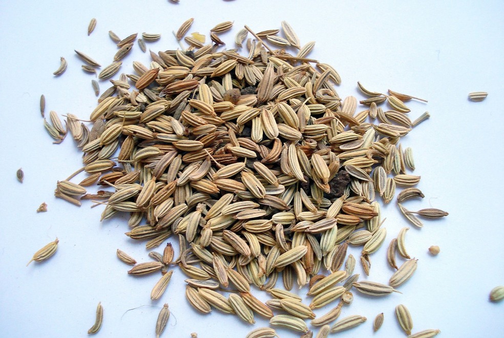 Além dos Gases: Outros Benefícios Surpreendentes do Chá de Erva-Doce para a Saúde