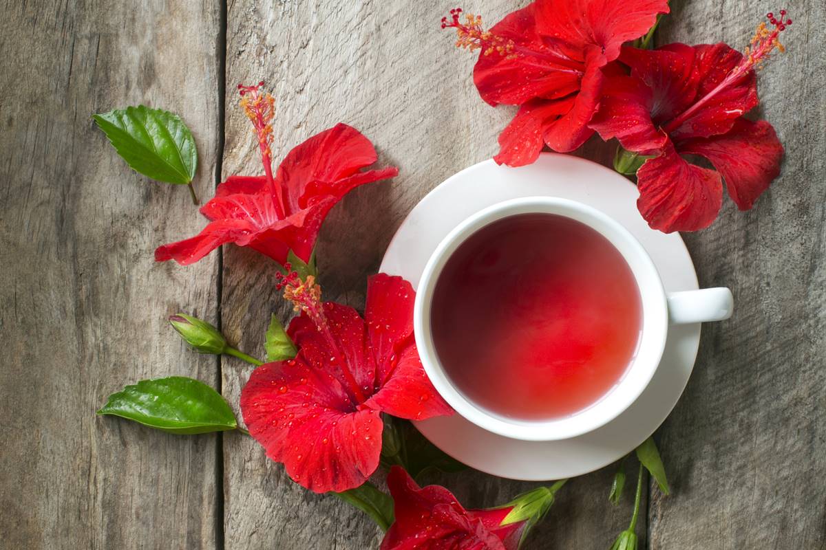 Chá de Hibisco vs. Outros Chás: Qual o Melhor para a Pressão Alta?