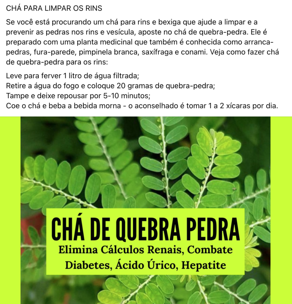 benefícios do chá de quebra pedra para vesícula