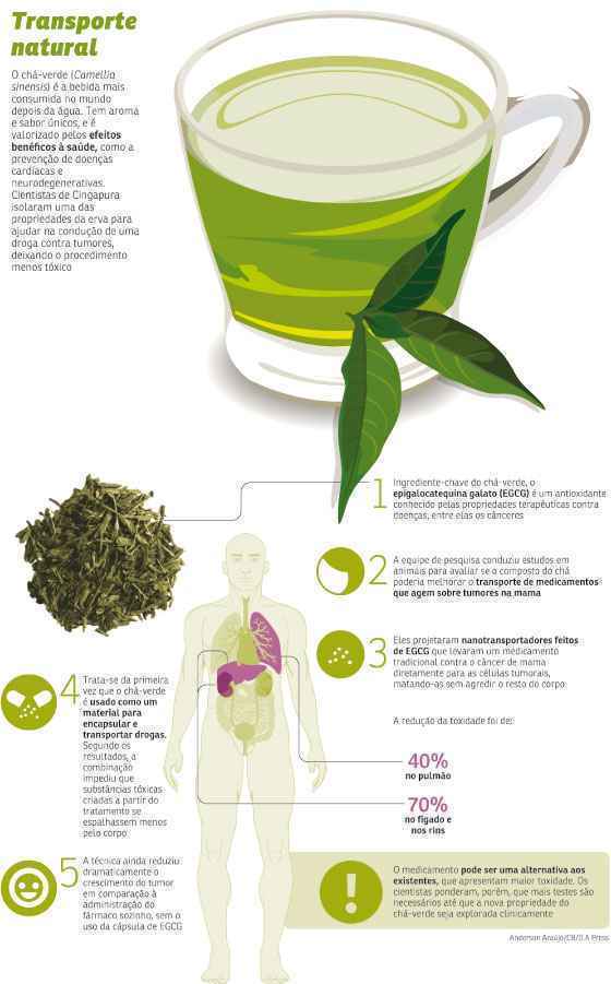 benefícios do chá verde para o metabolismo