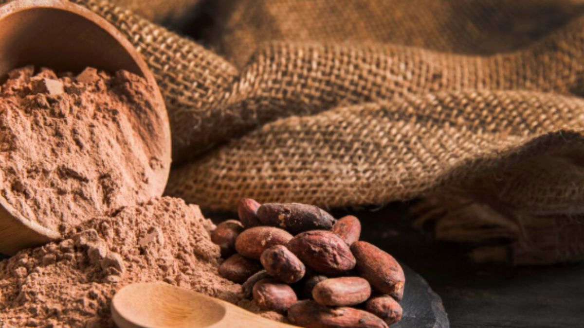 benefícios do chocolate amargo para o coração