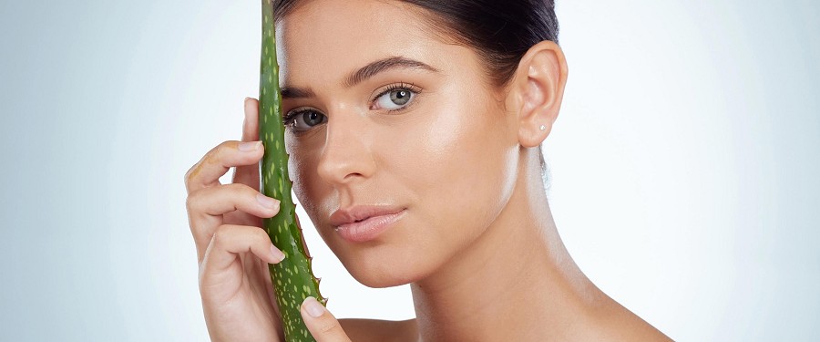 Babosa para cabelos: benefícios e receitas