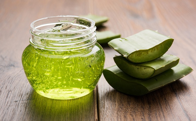 Como fazer gel de babosa caseiro