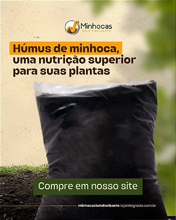benefícios do húmus de minhoca na horta