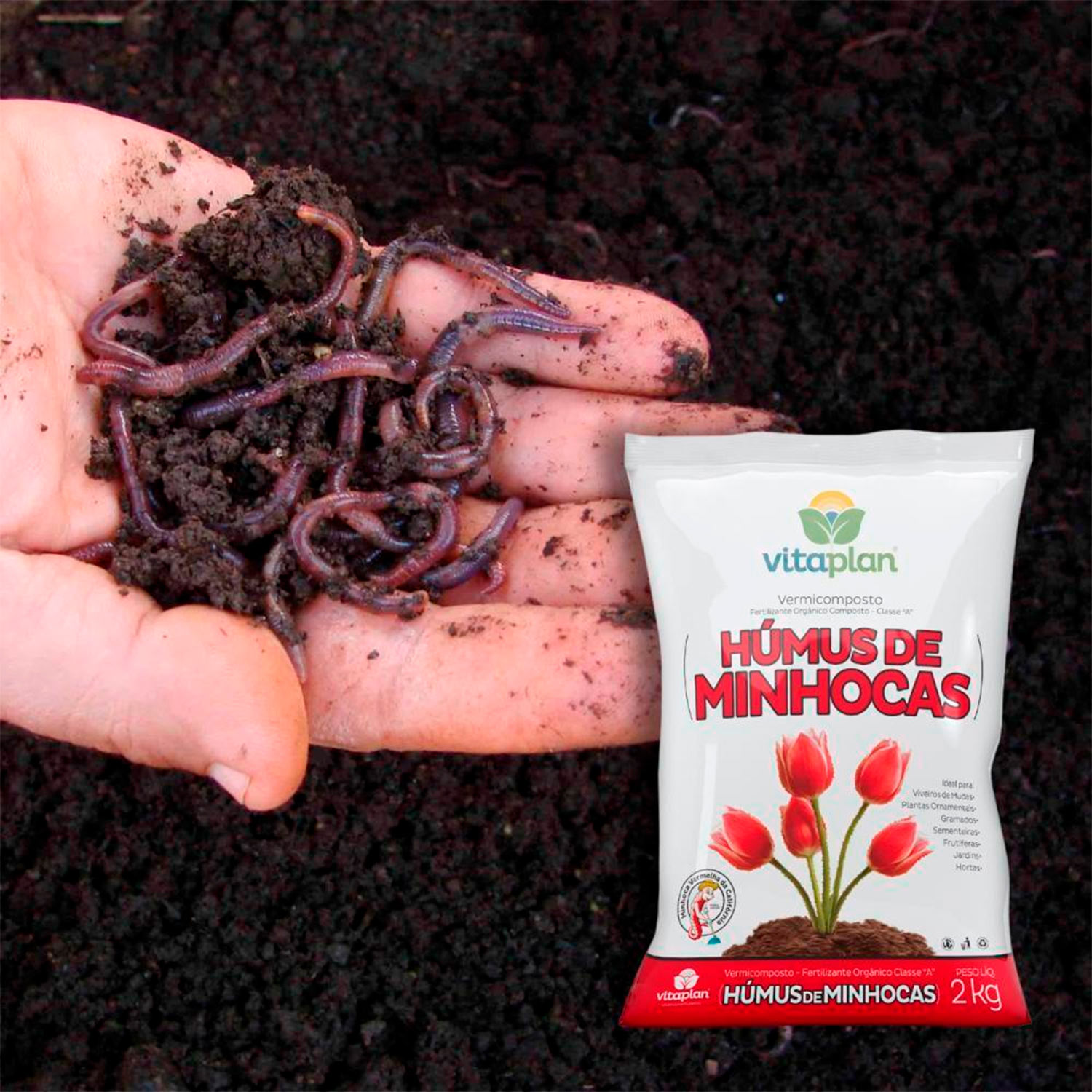 Os 5 Principais Erros ao Usar Húmus de Minhoca na Horta