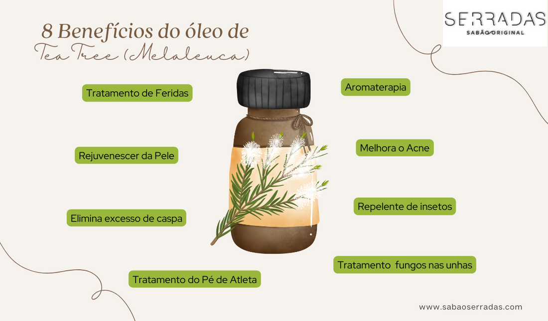 5 formas de usar óleo de melaleuca no rosto