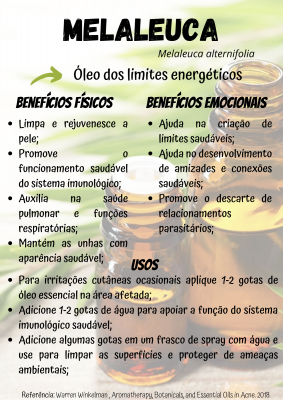 Óleo de melaleuca vs. óleo de tea tree: qual a diferença?