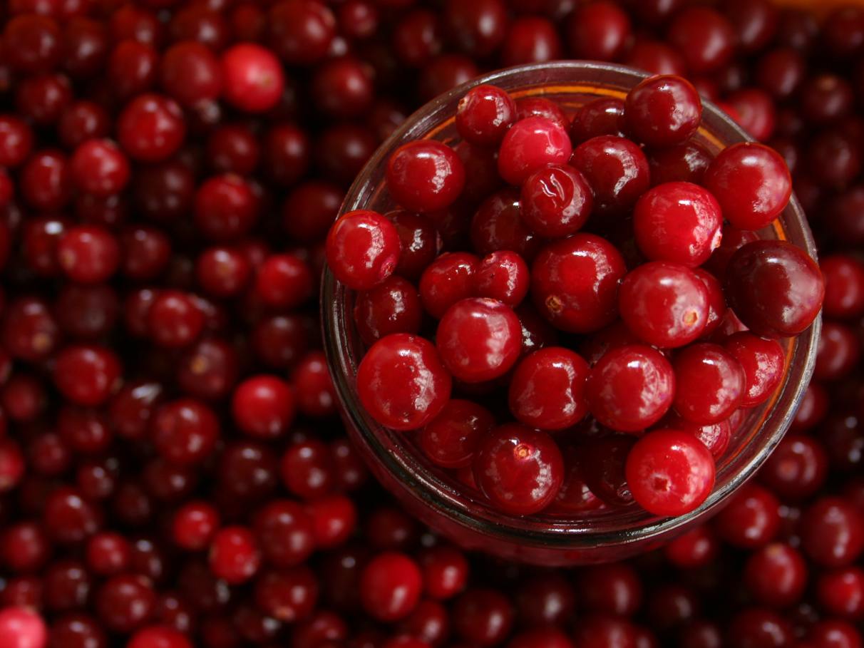 benefícios do suco de cranberry para infecção urinária