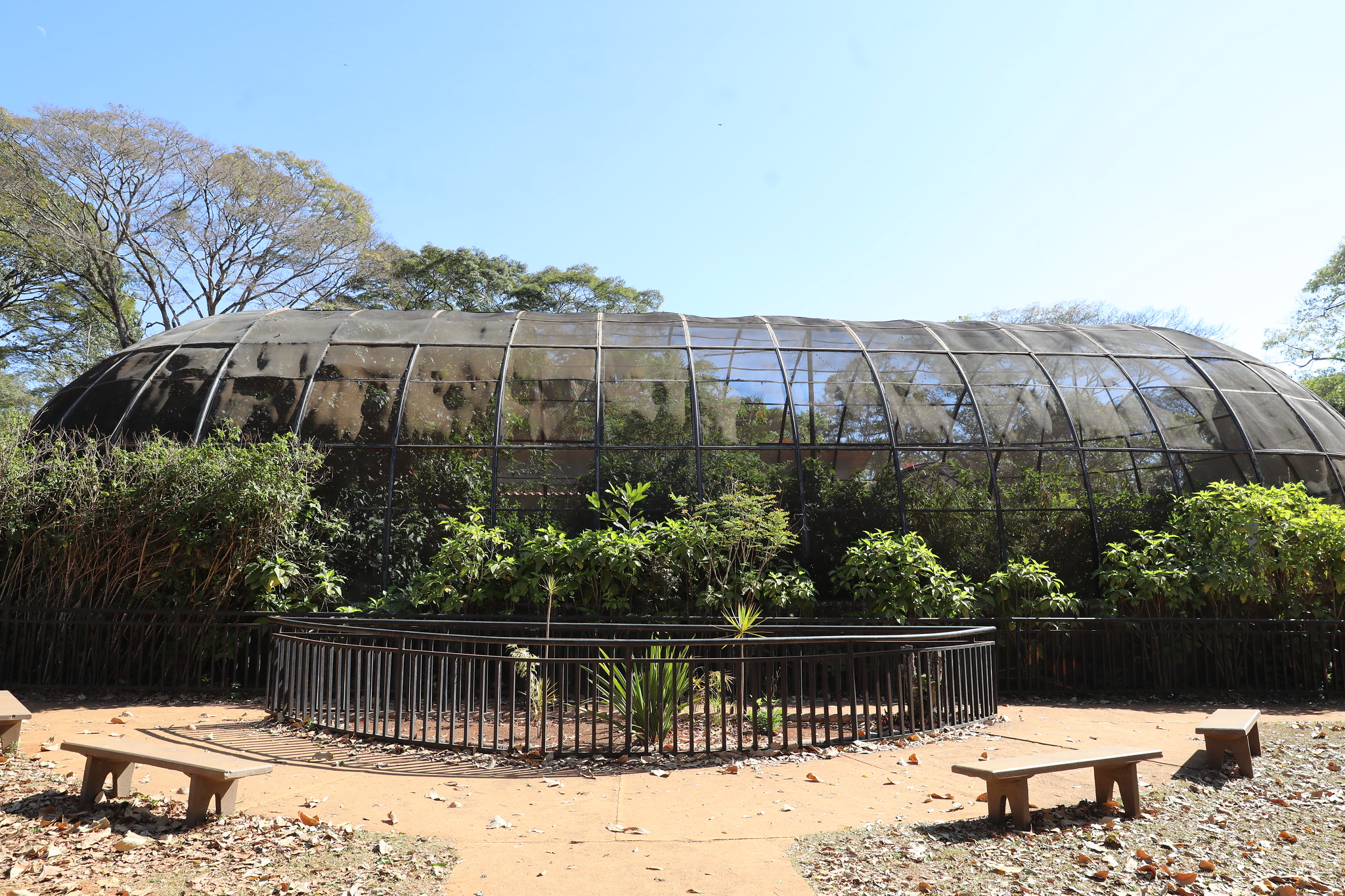 5 ideias de títulos:
1. Guia Completo do Borboletário de Brasília: O que esperar da visita.
2. Borboletário do Zoo DF: Um mergulho na vida das borboletas.
3. Dicas Essenciais para Visitar o Borboletário de Brasília.
4. A Importância da Conservação no Borboletário de Brasília.
5. Descubra a Magia do Borboletário de Brasília: Espécies e Microclimas.