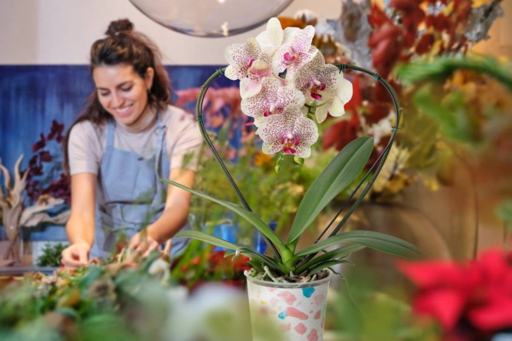 borboletário de brasília