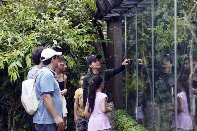 borboletário de brasília