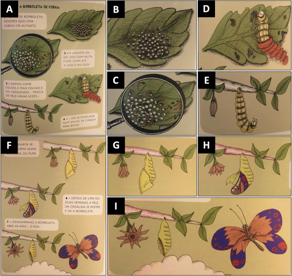 borboletário de brasília