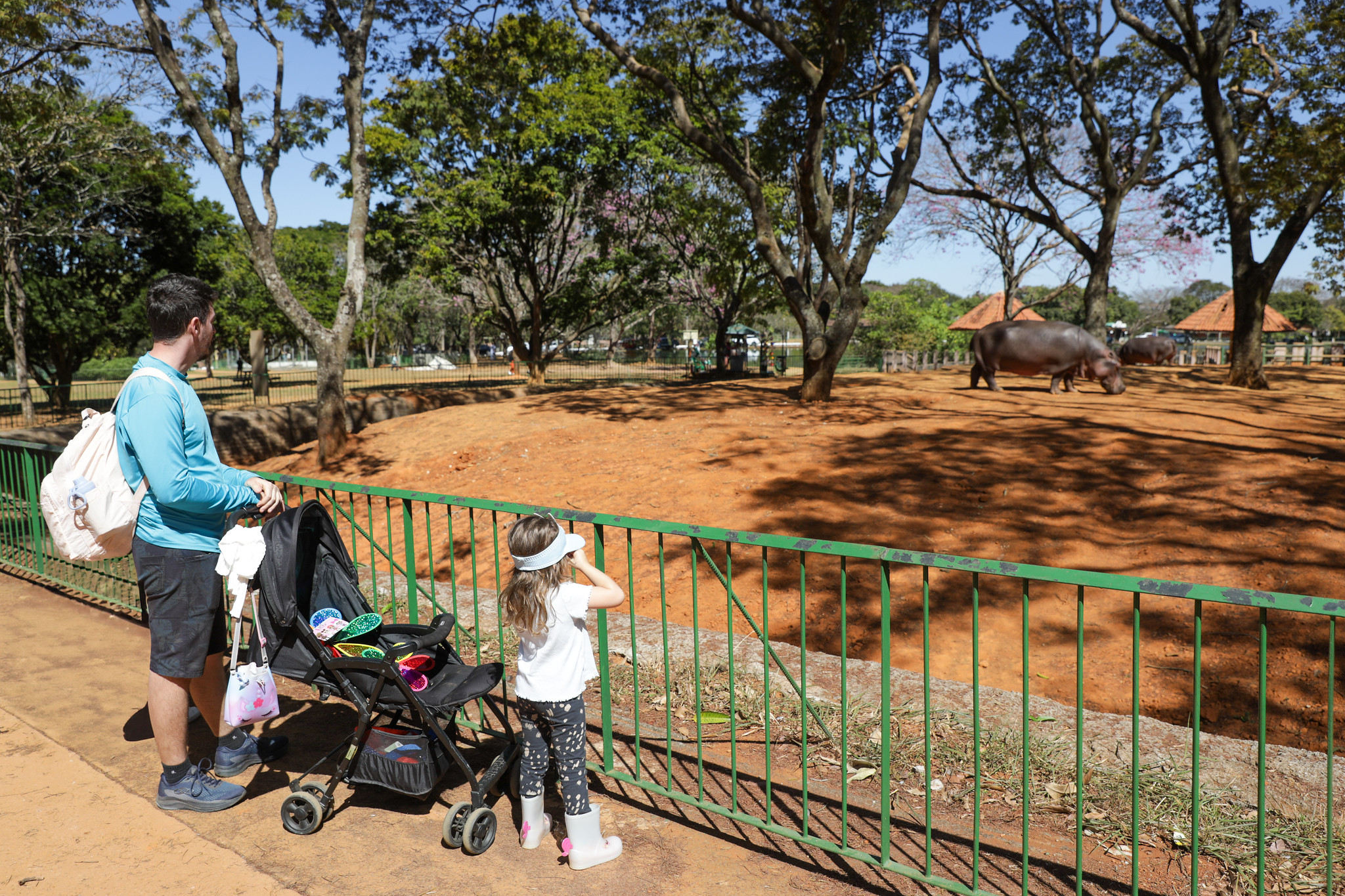 Guia cultural para famílias em Brasília