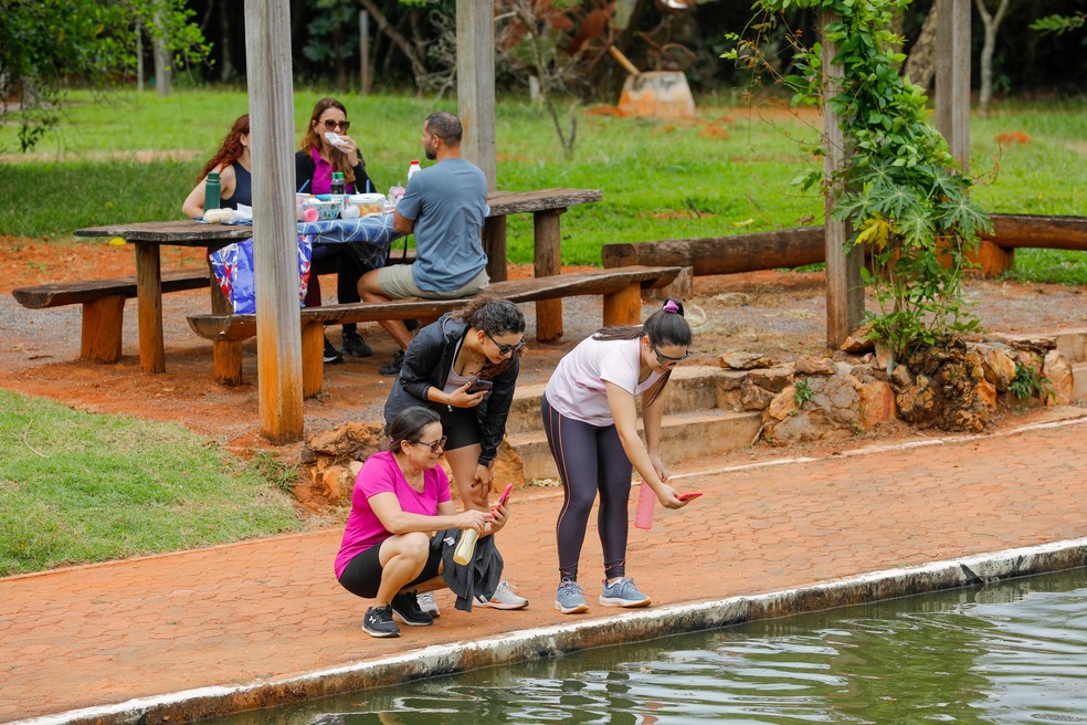 Opções de gastronomia com área kids em Brasília