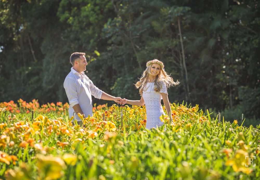brasília na primavera flores e fotos