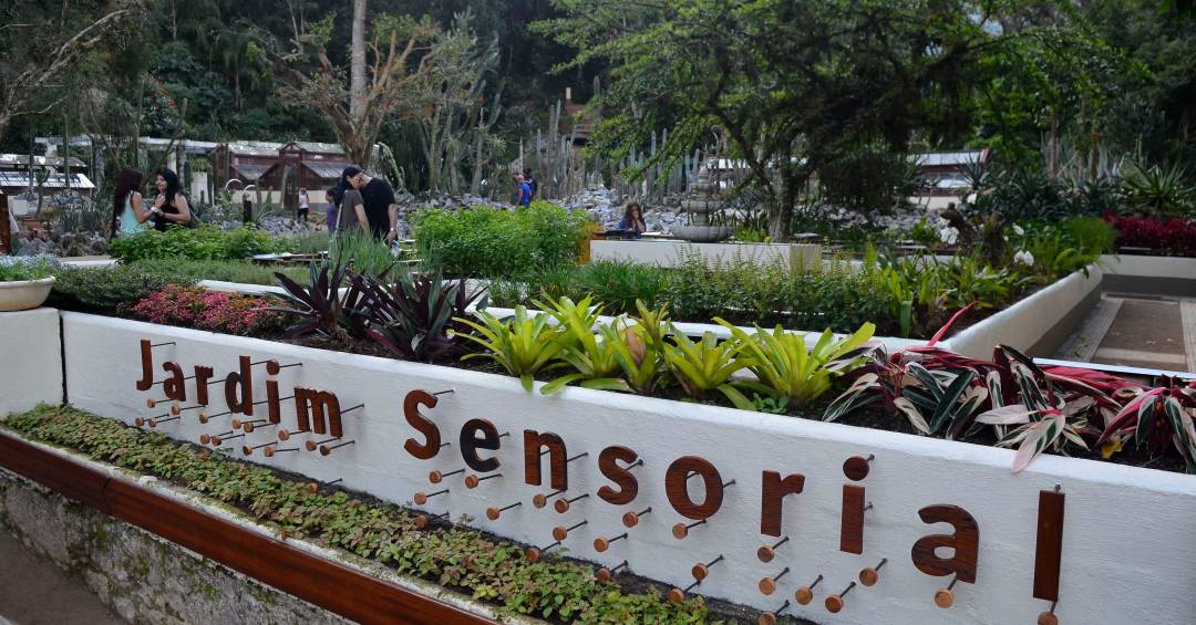 Explorando a arquitetura de Brasília pelo tato