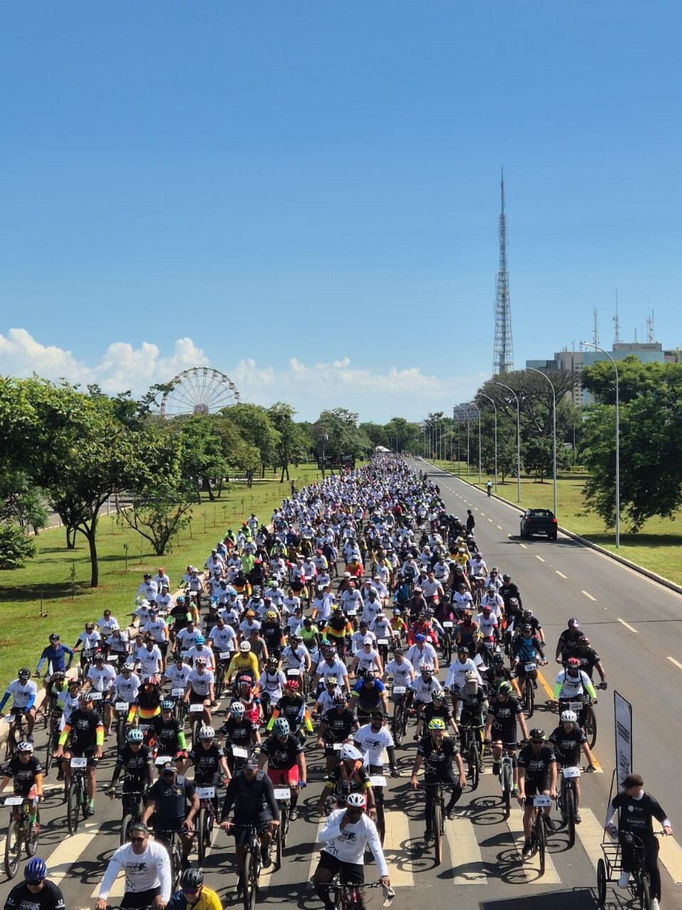 Como Escolher a Bicicleta Ideal para o seu Estilo de Pedal