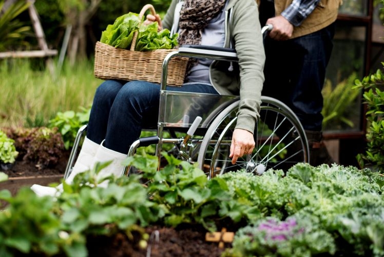 brasília para idosos acessibilidade